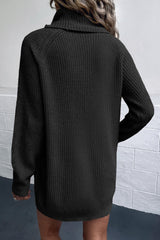 Turtleneck Raglan Sleeve Rib-Knit Dress with Pockets